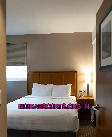 Escort service Noida
